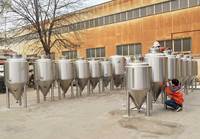 Réservoir conique de Fermentation de bière Top man way de 300l avec doseur à hop