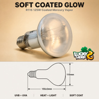 LuckyHerp JX-SL125R115C0 Lampe à vapeur de mercure auto-alimentée 125W, revêtement écologique, verre UVB/UVA pour reptiles, serpents et lézards