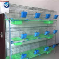 Offre Spéciale : Cages à Lapins Industrielles 24 Portes / Cages à Lapins à Vendre Empilables pour l'Élevage Commercial, 4 Niveaux, 24 Alvéoles