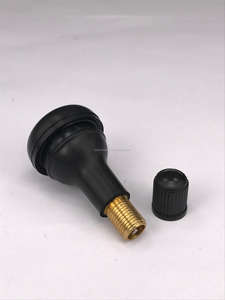 <span class=keywords><strong>Valve</strong></span> de pneu TR412 <span class=keywords><strong>TR</strong></span> <span class=keywords><strong>413</strong></span> TR414 TR415 TR418 tube sans tige de <span class=keywords><strong>valve</strong></span> de pneu - Product Image 4