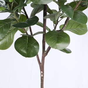Fausse plante verte 180cm 6FT feuille de violon artificielle <span class=keywords><strong>figuier</strong></span> pour centre commercial de bureau à domicile - Product Image 6