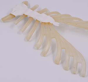 Modelo de <span class=keywords><strong>Esqueleto</strong></span> Humano de PVC para Enseñanza Médica, Tamaño Real, con Costillas Dispersas y Cartílago Costal - Product Image 5