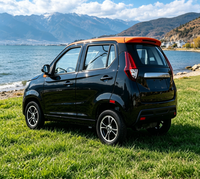 Venta Directa de Fábrica, Auto Eléctrico de Nueva Energía, Mini SUV de 4 Asientos con Certificación EEC, COC y CE, Vehículo Eléctrico de Cuatro Ruedas