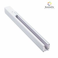 Rail de piste professionnel 1M 1,5M de longueur, rail en aluminium noir/blanc pour projecteur LED, éclairage commercial pour exposition en magasin