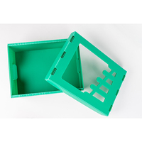 Boîte plastique en polypropylène organique pliable pour fruits, légumes, nid d'abeille, emballage de raisin pp en forme de banane, parapente simple