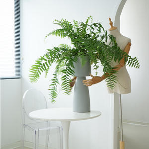 Kit de maceta alta minimalista simple, maceta redonda mate <span class=keywords><strong>para</strong></span> el hogar, sala de estar, balcón, decoración de jardín, Kit de plantación al por mayor - Product Image 4