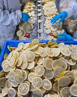Groothandel Hoge Kwaliteit Gedroogd en Watergeconserveerd Fruit Gemengd Bulk 1kg Verpakkingen Ondersteunt Aangepaste Verpakkingen Stijlvol Product