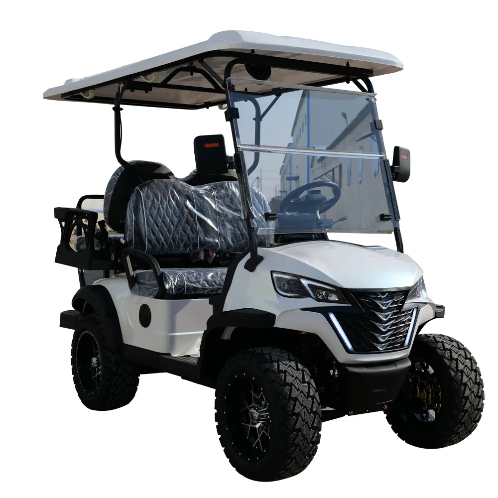Professional electric golf cart manufacturer 48v 72v golf cart from China