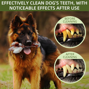 Naylon sessiz çiğnemek kaktüs şekli yıkılmaz köpek oyuncak agresif Chewer sığır lezzet aşınmaya dayanıklı ve ısırık dayanıklı köpek oyuncak - Product Image 6