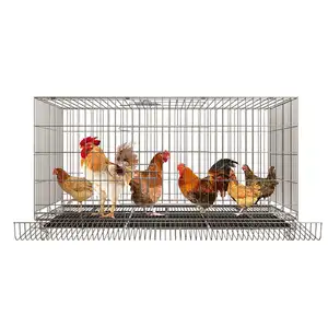 Usine directe en gros automatique roulant oeuf poulet Cage ménage élevage pliant couche Cage poulet élevage Cage