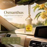 Parfum pour voiture 8ml, flacon en verre avec bouchon en bois, diffuseur d'air suspendu pour voiture, parfum personnalisé, OEM ODM, fournisseur BSCI
