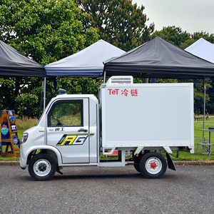 Nuevo Vehículo Eléctrico de Energía Renovable, Mini Camioneta Refrigeradora Eléctrica + Vehículo Eléctrico de 2 Plazas y 4 Ruedas - Product Image 2