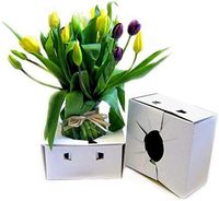 Boîtes de livraison en carton recyclables pour fleurs en gros Vase à fleurs Livraison postale boîte d'emballage en carton ondulé Boîte de livraison pour fleuriste