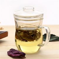 10oz Transparent clair verre Borosilicate café tasse à thé écologique bureau à domicile verres avec infuseur à thé filtre couvercle bouilloire