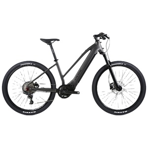 Bicicleta Eléctrica 2025 EC1 con Motor de 11 Velocidades, Bicicleta Eléctrica de Carretera de 48V 250W con Motor Central, la Mejor Relación <span class=keywords><strong>Calidad</strong></span>-<span class=keywords><strong>Precio</strong></span> - Product Image 2