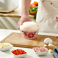 Keukenaccessoires Blender Knoflooksnijder Mini Handmatige Groente Fruit Gember Ui Vlees Shredder Handmatige Snijder Roestvrij staal