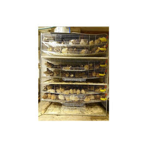 Jaula de codorniz automática, diseño de granja de aves de corral, venta al por mayor - Product Image 1