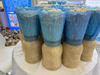 Botellas de plástico PP de gran volumen, 1400 ml, para el cultivo de hongos, botellas de plástico para hongos.