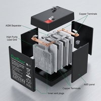 Batería de Plomo-Ácido FirstPower FP640 6V 4Ah 20HR, Batería AGM Recargable para Báscula Electrónica y Sistema de Control de Acceso