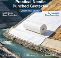 Géotextile aiguilleté pratique à structure uniforme des fibres pour la protection hydraulique des pentes