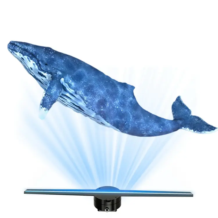 Projecteur d'hologramme Wiikk-3D pour la publicité, carte d'écart-type, 42cm, fan 3D