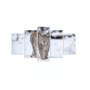 Tableau imprimé sur toile : Lynx d'hiver élégant dans la nature, lot de 5 toiles assorties - Product Image 2