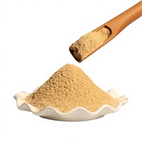 Poudre de gingembre moulu de qualité alimentaire, sans additifs, vente en gros en vrac pour la cuisine et l'assaisonnement
