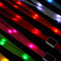 Longstargift Tropical Marvel Cool Custom Glow Light Bersertifikasi CE Bertenaga Baterai ABS/Nylon 50x2cm LED Lanyard untuk Festival