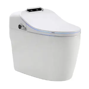 CBM Smart Toilet Frame Business White Wall Tank set toilette pneumatica CE Certified Metal onewomens Mall Modern cisterna Black