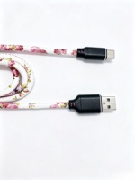 Câble de données rond en cuir PU imprimé, nouveau style, avec charge rapide 2A pour iPhone et Type-C Todugu T-155