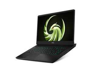 โน้ตบุ๊กเกมมิ่ง MS1 C7VF-047CN หน้าจอ 17.3 นิ้ว 240Hz R9 7940HX RTX 4060 1TB SSD - Product Image 4