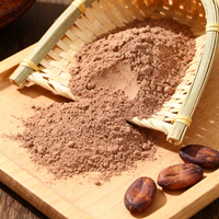 Poudre de cacao naturelle de qualité alimentaire, teneur en matières grasses 10-12%, pH 5.2-5.8, jaune brun, vente en gros d'usine pour la pâtisserie