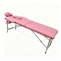 Table de massage pliable portable en 2 sections, cadre en acier inoxydable, mobilier professionnel pour spa et salon de beauté