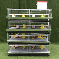 Cage à poulets de type H à 4 niveaux, cage à batterie commerciale pour l'élevage des poussins