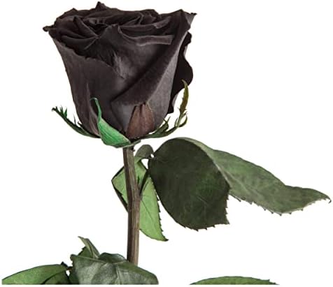 Black-30