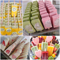 Moule quotidien 3000 pièces automatique Ice Pop Stick Ice Cream Bar Lolly Palette Popsicle faisant la Machine