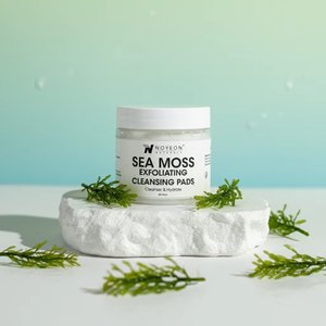 NOYEON Drop Shipping cocco vedere pastiglie di muschio con ottimo prezzo Set di cura della pelle Private Label - Product Image 1