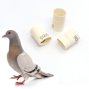 2022 <strong>Rubber</strong> <strong>Ring</strong> <strong>Pigeon</strong> Leg Bands Racing <strong>Pigeon</strong> Foot <strong>Rings</strong> / - Product Image 1