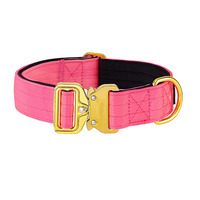 Collier pour chien en nylon rembourré en néoprène réglable et résistant avec boucle en métal doré
