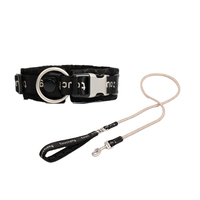 Collier élégant et doux pour chien et chat Touchdog, anti-diffusion, anti-étranglement, laisse réfléchissante avec étiquette, accessoires pour animaux de compagnie OEM