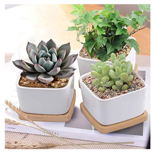 Mini ensemble de bureau décoratif en étain 3 pots succulents Mini pots Jardinière de fleurs avec plateau - Product Image 4