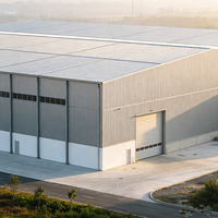 Edificio de Estructura de Acero de Gran Envergadura, Taller de Acero Estructural Personalizado para Proyectos de Construcción de Fábricas Industriales y Comerciales
