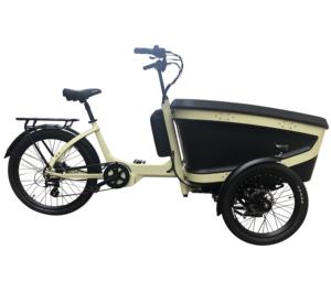 Tricycle électrique 2 places 250 watts <span class=keywords><strong>Bosch</strong></span> Epp Foam ANANDA M81, vélo cargo, vélo électrique pour enfants, cadre de velomobile, assistance au pédalage avec boîte de livraison - Product Image 1