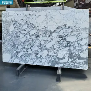 Snow White Marble Stone Natural Arabescato White Italian Marble Slab For Wall And Flooring