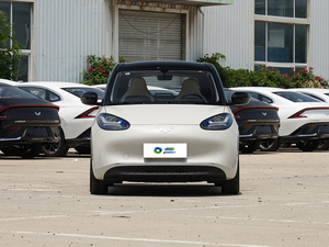 Auto Usado Binguo EV Mini, Volante a la Izquierda, Modelo 2023, 1-25000 Millas, Vehículo de 4 Ruedas de Alta Calidad en Venta - Product Image 4
