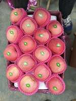 China Nieuwe Oogst Rood Groen Appelfruit Groothandelsprijs Chinese Rode Fuji Verse Fuji Appelfruit Verse Appels