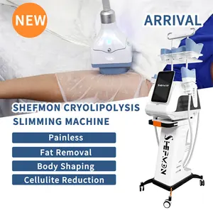 Professional Cool Body Sculpt Machine Fat Freezing Machine Criolipolisis 360 Slimming Equipment For Cellulite Removal
