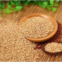 HUARAN Vente en gros de graines de sésame blanches chinoises crues et naturelles Graines de sésame pures en vrac Graines de sésame décortiquées blanches bon marché