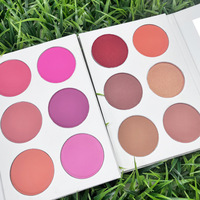 Palette de Maquillage Visage Multifonctionnelle Nouveaux Fards à Joues Pigmentés, Illuminateur et Contour, Vente en Gros, Marque Privée, Végane