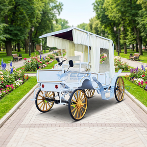 Calèche Électrique de Haute Qualité pour Visites Touristiques, Mariages et Transport Spécialisé - Product Image 2